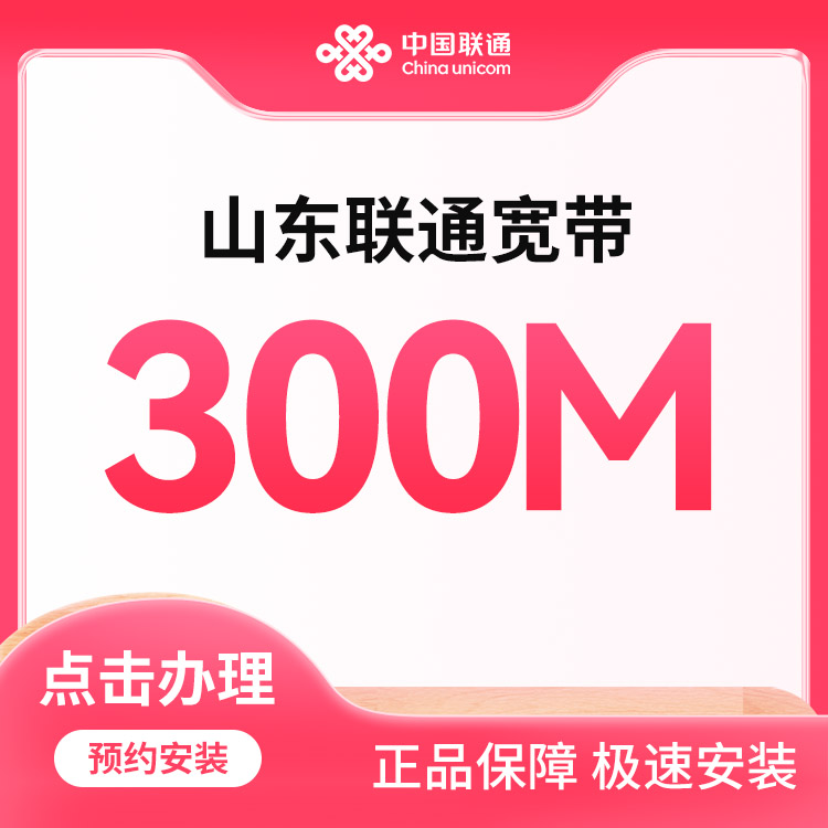 联通300M单宽包年480元