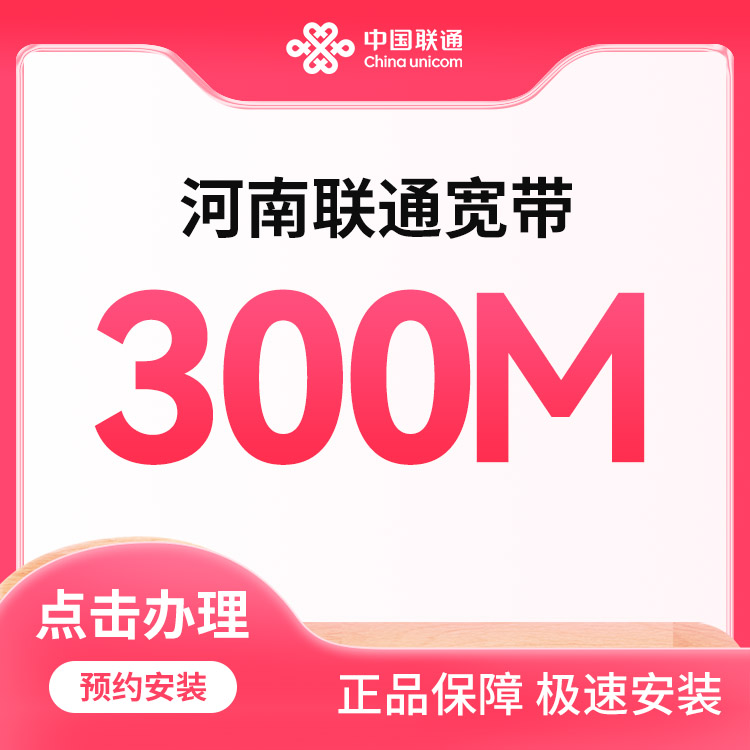 联通300M单宽包年480元